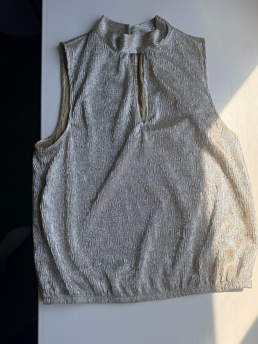 NWT Express Metallic Ribbed Tank Top